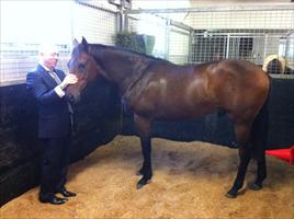 Simon Reid with his Nadeem colt